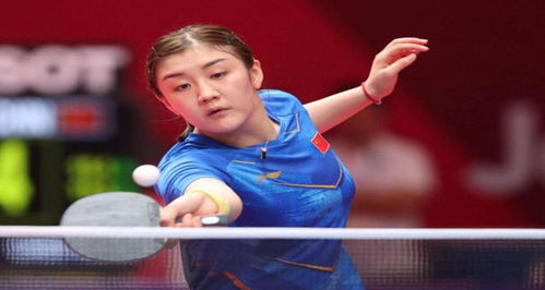 埃贝尔的态 埃贝尔的态